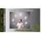 Opencart Default Currency Change Opencart Default Currency Change
