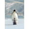 test_product test_product