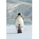 test_product test_product
