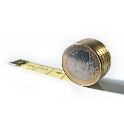 Opencart Price Dual Currency Display extension. Opencart Price Dual Currency Display extension.